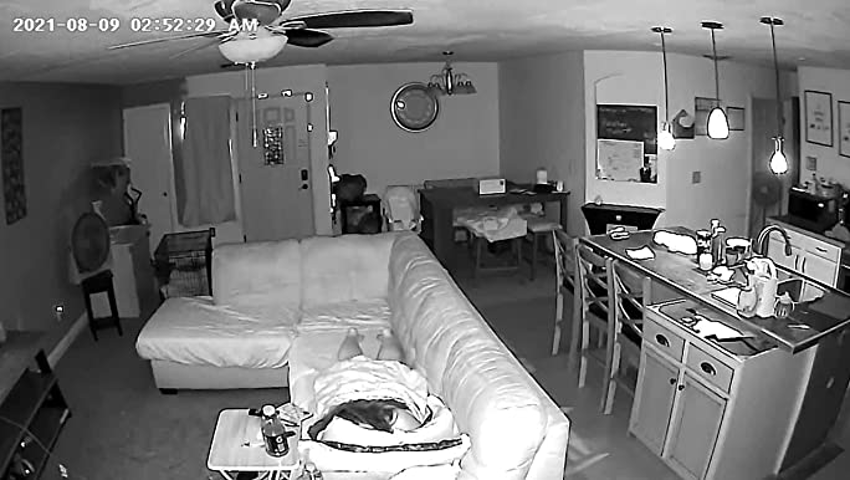 Cámaras con visión nocturna