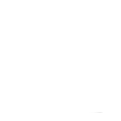 iconofibra6