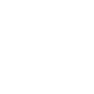 iconosfibra1