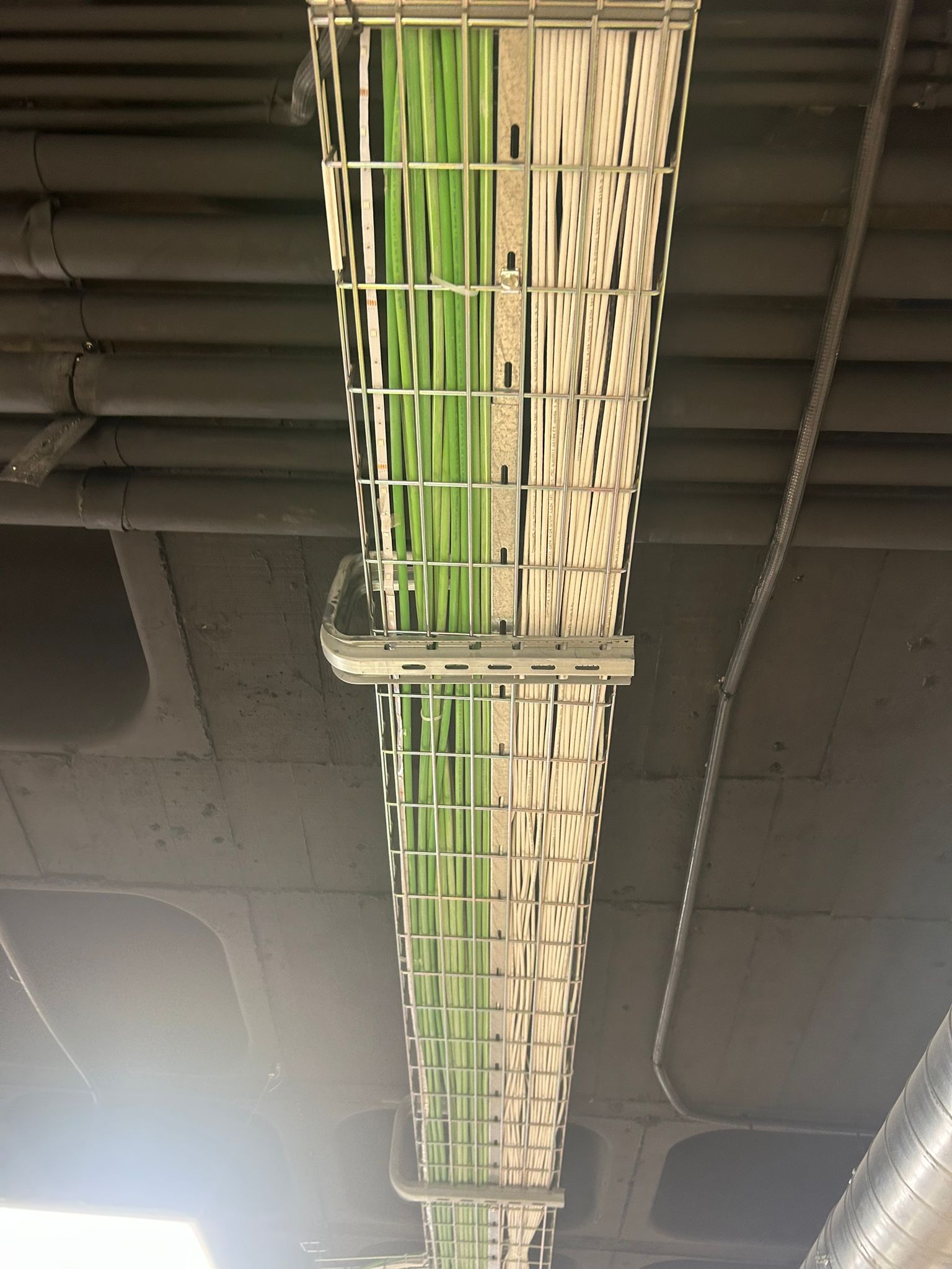 Cableado organizado en bandeja metálica en el techo de las oficinas de GO BRAVO